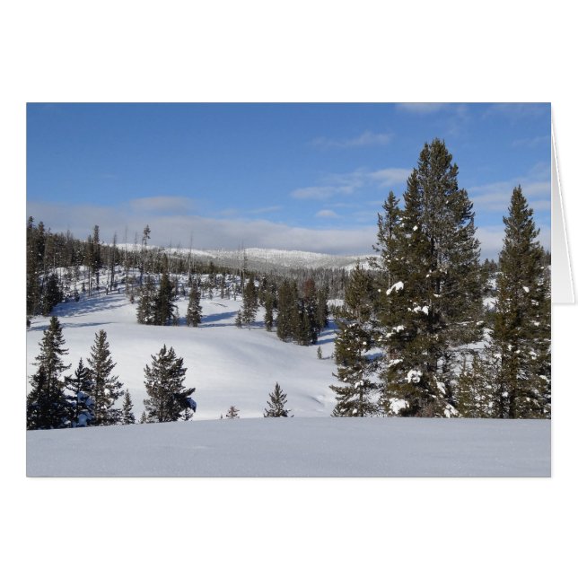 Yellowstone Winter Landscape Photography (Front Horizontal)