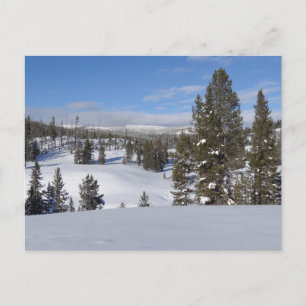 Yellowstone Winter Landscape Photography Postcard