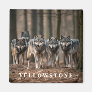 Yellowstone Wolf Magnet