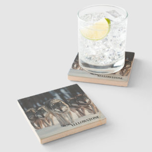 Yellowstone Wolf Sandstone Coaster