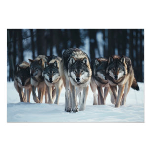 Yellowstone Wolves Photo Print