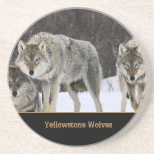 Yellowstone Wolves Sandstone Coaster
