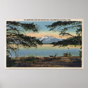 Yellowstone, WY - Yellowstone Lake and Colter Poster
