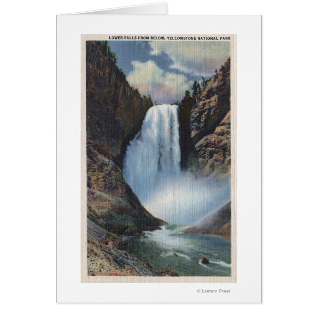 Yellowstone, WYLower Falls from Below View (Front)