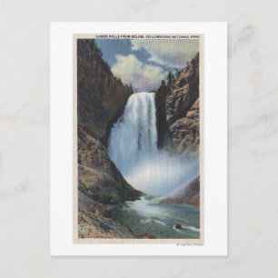 Yellowstone, WYLower Falls from Below View Postcard