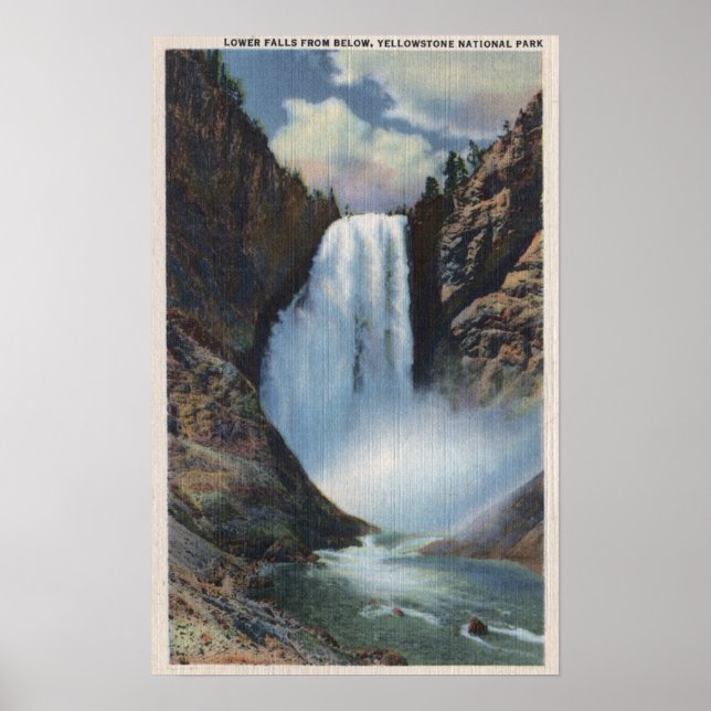 Yellowstone, WYLower Falls from Below View Poster (Front)
