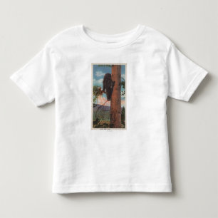 Yellowstone, WYView of Black Bear in Tree Toddler T-Shirt