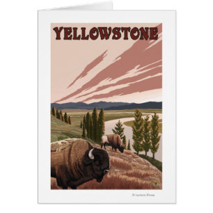 YellowstoneBison Scene