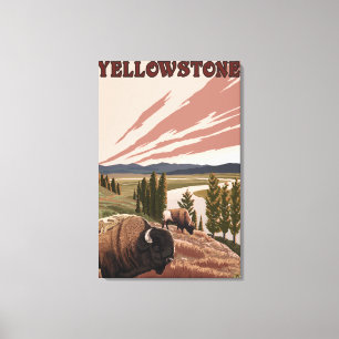 YellowstoneBison Scene Canvas Print