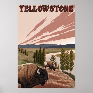 YellowstoneBison Scene Poster