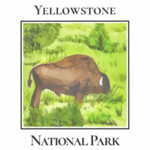 Yellowstone's Gentle Giant