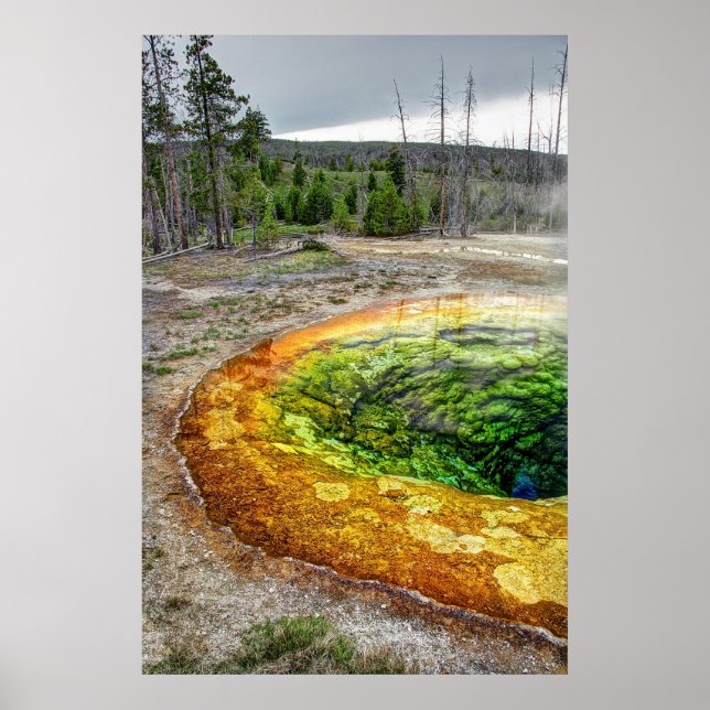 YELLOWSTONE'S MORNING GLORY POOL POSTER (Front)