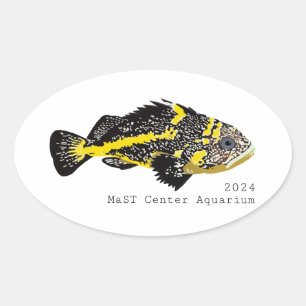 Yellowstripe Rockfish 2024 -Classic Round Stickers