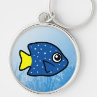 Yellowtail Damselfish