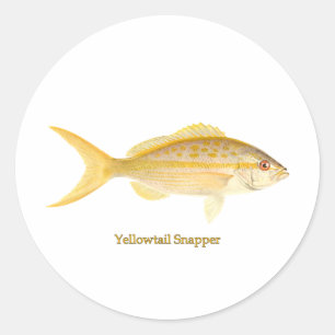 Yellowtail Snapper Logo Classic Round Sticker