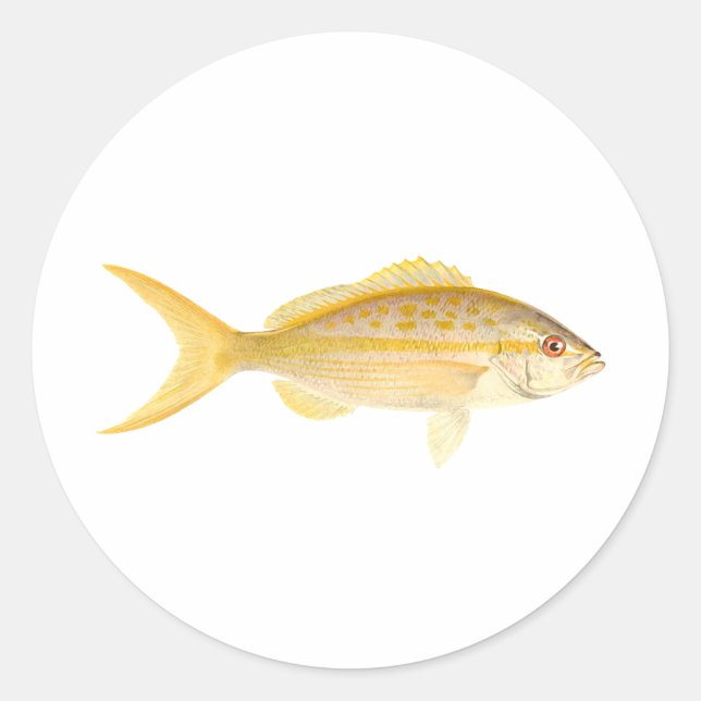 Yellowtail Snapper Logo Classic Round Sticker (Front)