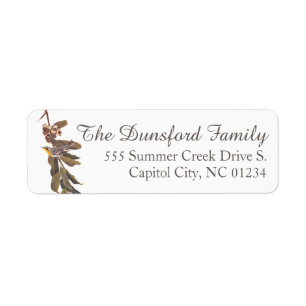 Yellowthroat Audubon Warbler Bird on Tree Branch