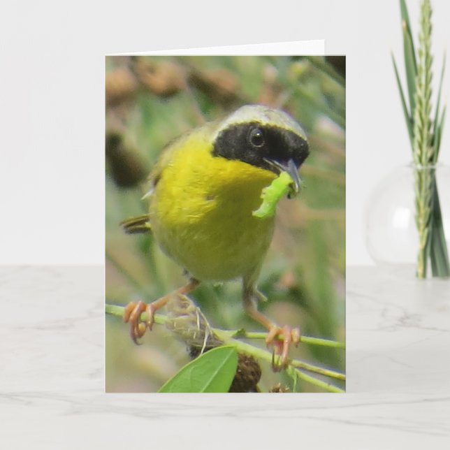 Yellowthroat Greeting Card (Front)