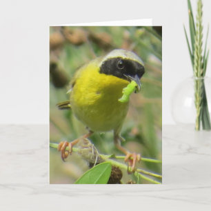 Yellowthroat Greeting Card