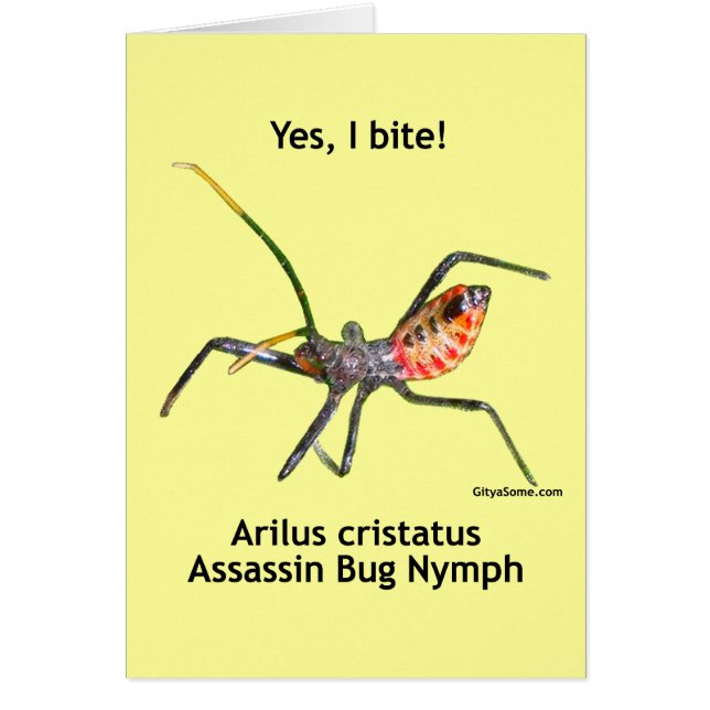 Yes I Bite Assassin Bug (Front)