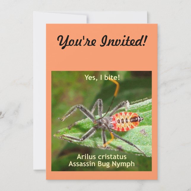 Yes I Bite Assassin Bug Invitation (Front)