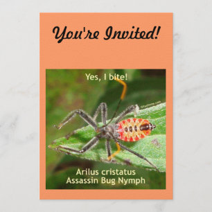 Yes I Bite Assassin Bug Invitation