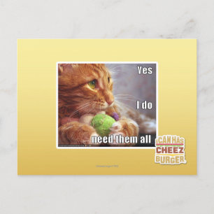 Yes I do need them all Postcard
