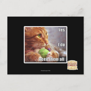Yes I do need them all Postcard