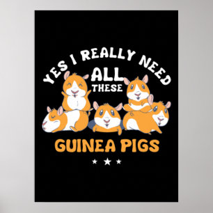 Yes I need all these Guinea Pig Cavy Roddent Poster