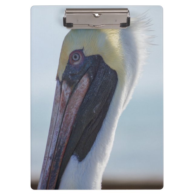 Yes I'm Gorgeous Clipboard (Front)