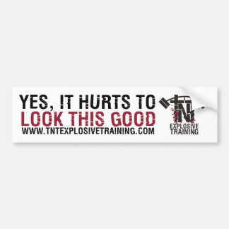 YES,IT HURTS TO LOOK THIS GOOD BUMPER STICKER