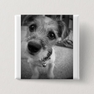 Yes Master, I'm All Ears 15 Cm Square Badge