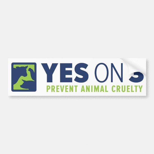 Yes on 3! Bumper Sticker (Front)