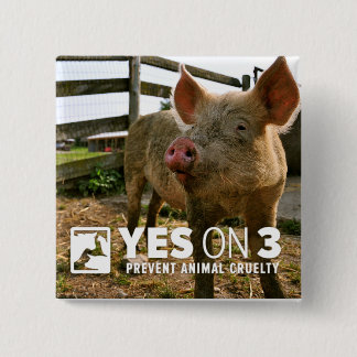 Yes on 3! Mini Button