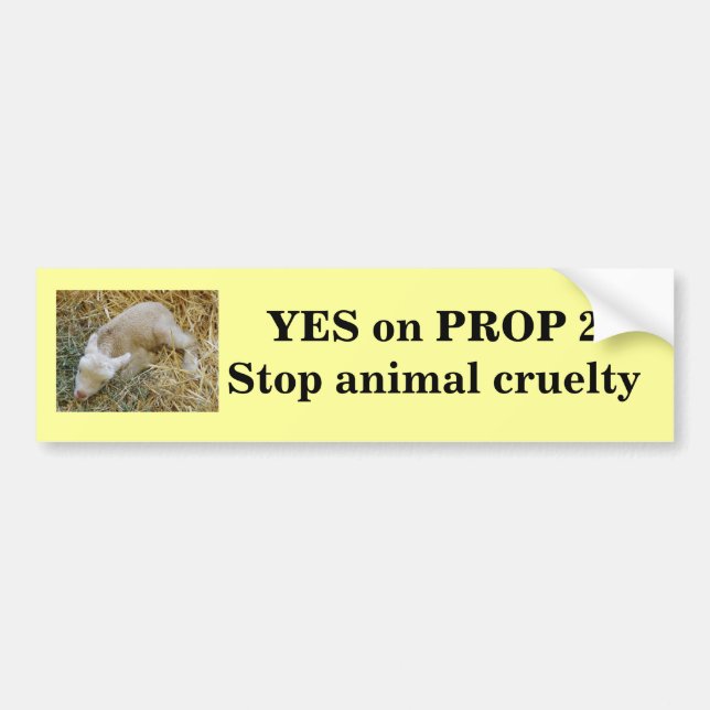 Yes on Proposition 2 - Bumper Sticker (Front)