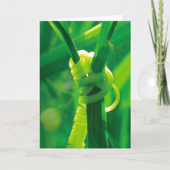 Yes You Can! Rosie the Riveter Tendril Vine Card (Front)