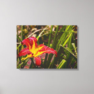 Yesterday Lily After The Rain Canvas Print