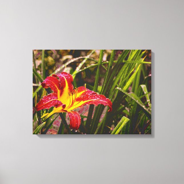 Yesterday Lily After The Rain Canvas Print (Front)