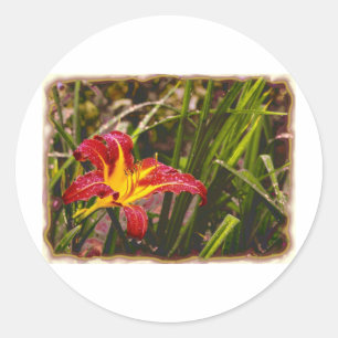 Yesterday Lily After The Rain Classic Round Sticker