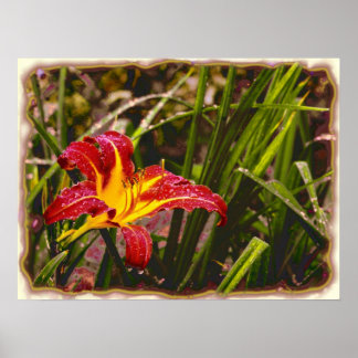 Yesterday Lily After The Rain Poster
