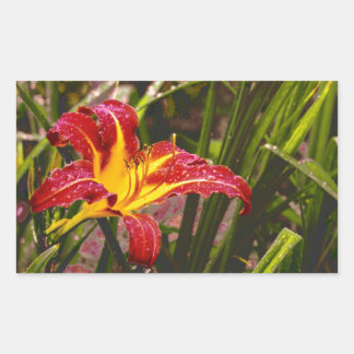 Yesterday Lily After The Rain Rectangular Sticker