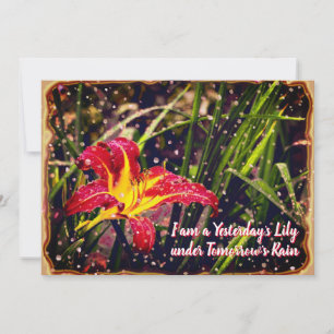 Yesterday Lily in Tomorrow Rain Postcard