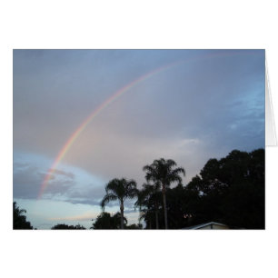 Yesterday's Rainbow