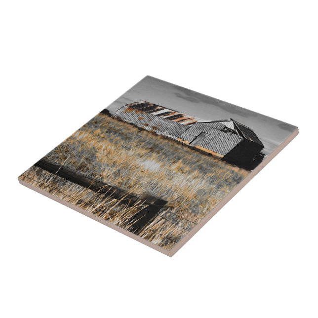 Yesterday's Shelter Tile (Side)