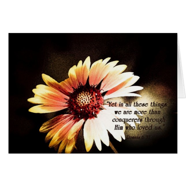 YetinallTheseThingsZazzle (Front Horizontal)