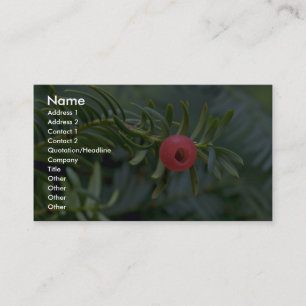Yew tree fruit (taxus brevifolia) business card
