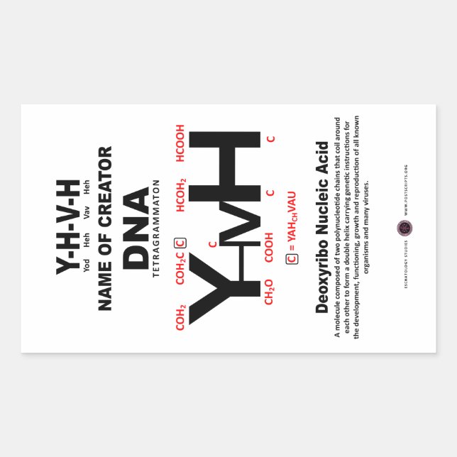 YHVH-DNA Chemical Bond Rectangular Sticker (Front)