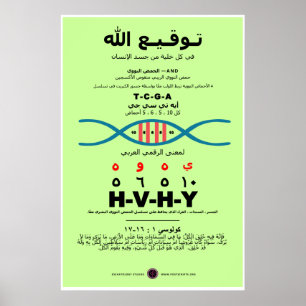 YHVH in the DNA - Arabic Poster