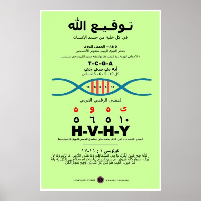 YHVH in the DNA - Arabic Poster (Front)