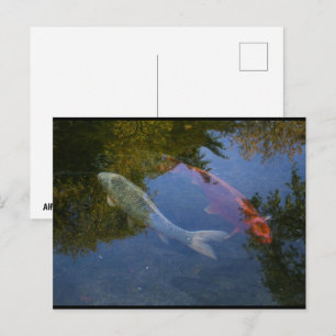 Yin and Yang in Silver and Amber Postcard